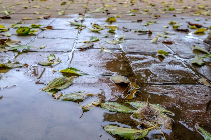 Decorative Concrete Repair in Dothan, AL